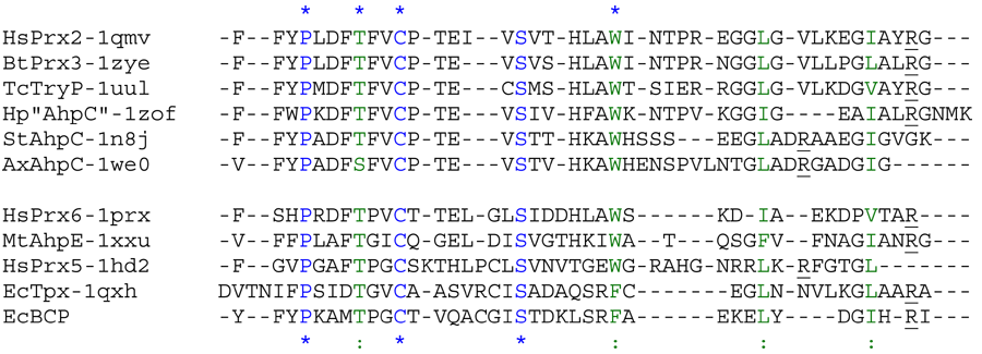 AhpC-Prx1 Alignment